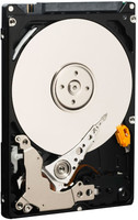 WD Blue 50