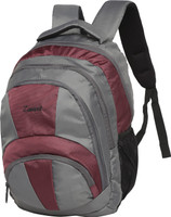 Zwart 114105 25 L Free Size Backpack(Grey, Purple)