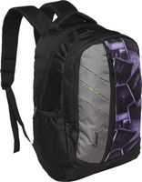 Zwart SERINT 25 L Medium Backpack(Black, Grey)