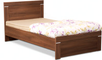 Debono Solitaire AD NB Bed Engineered Wood Single Bed(Finish Color - Acacia Dark Matt Finish)