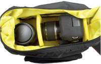 Ape Case A
