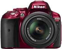 Nikon D530