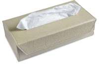 Ecoleatherette Tb.Bg Vehicle Tissue Dispenser(Beige) RS.390.00