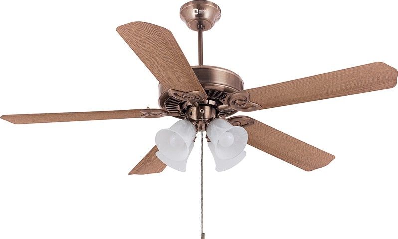 View Upto 30% Off Ceiling Fans exclusive Offer Online(home kitchen)