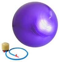 Dezire ANTI BURST 95 cm Gym Ball(PURPLE)