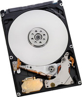HGST 500 G