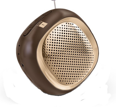 Iball Musi Cube With FM Radio-BT 20 Portable Bluetooth Mobile/Tablet Speaker(Gold, 2.0 Channel)