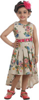 Hunny Bunny Dresses