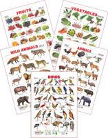 Spectrum Set of 5 Educational Wall Charts (Wild Animals, Domestic Animals, Birds 2, Assorted Fruits 2 & Vegetables 2)(Multicolor) Flipkart