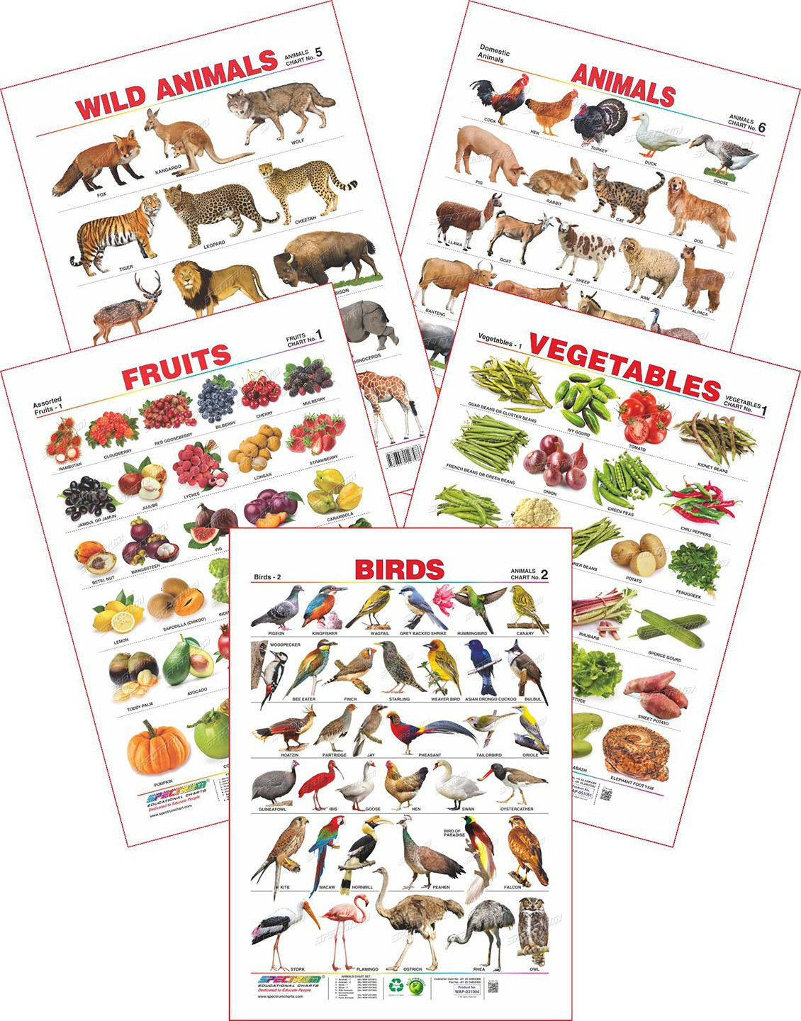 Spectrum Spectrum Set of 5 Educational Wall Charts (Wild Animals, Domestic Animals, Birds 2, Assorted Fruits 1 & Vegetables 1)(Multicolor) Flipkart