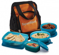 Signoraware Carry Lunch Box with Bag 4 Containers Lunch Box(950 ml)