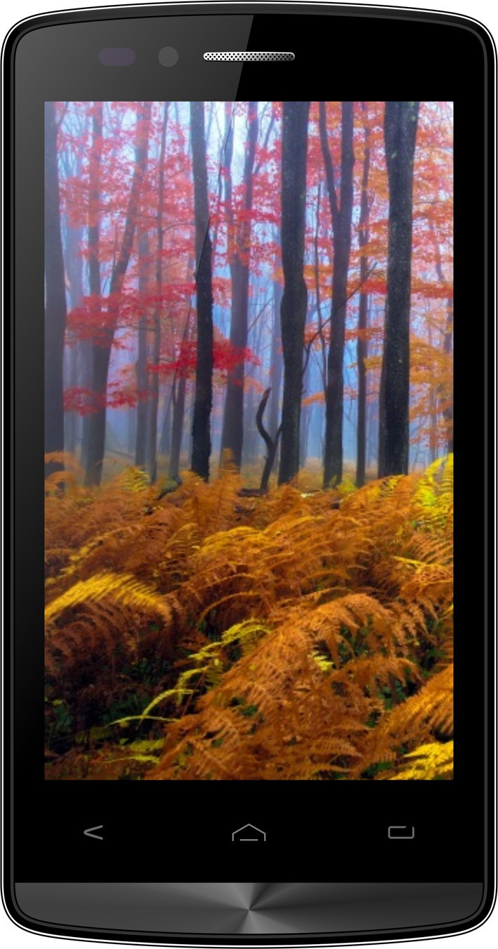 Wham Q4 (Red, 8 GB)(1 GB RAM)