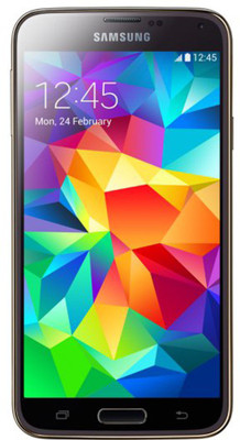 SAMSUNG Galaxy S5 Single Sim - Grey (Grey, 16 GB)