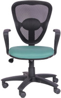 Woodstock India Plastic Office Chair(Black, Green) RS.4999.00