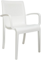 Cello Furniture Plastic Outdoor Chair(Finish Color - White)