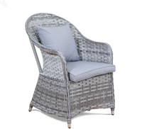 Royal Oak Resort Synthetic Fiber Outdoor Chair(Finish Color - Grey)