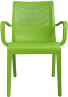 Cello Furniture Plastic Outdoor Chair(Finish Color - Green)
