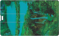 Printland 