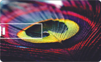 Printland Credi Printland Credit card Peacock