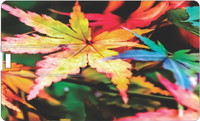 Printland 