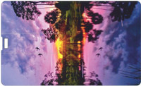 Printland 