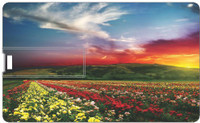 Printland 