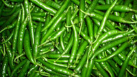 Ecoware Organic-Green Chilli Seed(50 per packet) RS.91.00