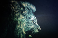 Oshi - Blue Lion Fine Art Paper Print(12 inch X 18 inch, Streched) RS.239.00