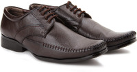Andrew Scott Empire Lace Up Shoes(Brown)