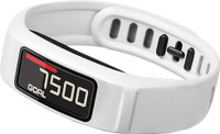 Garmin Viv