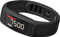 Garmin Vivofit 2 (Large & Small Band)(Black)