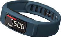 Garmin Viv