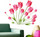 [Image: 5799-aquire-100-pink-tulips-bouquet-5799...s7tg4.jpeg]