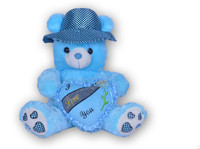 First Toy Teddies  - 45.5 cm(Blue) RS.799.00