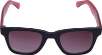 Miami Blues MB066A Wayfarer Sunglasses(Brown)
