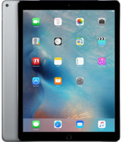 Apple iPad Pro 32 GB 12.9 inch with Wi-Fi Only(Space Grey) RS.67900.00