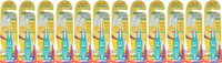 Ajanta Smiley Toothbrush Pack of 12 pieces RS.299.00