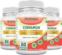 Morpheme Remedies Cinnamon 500 mg (Pack of 3)(180 No)