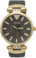 Aspen AP16