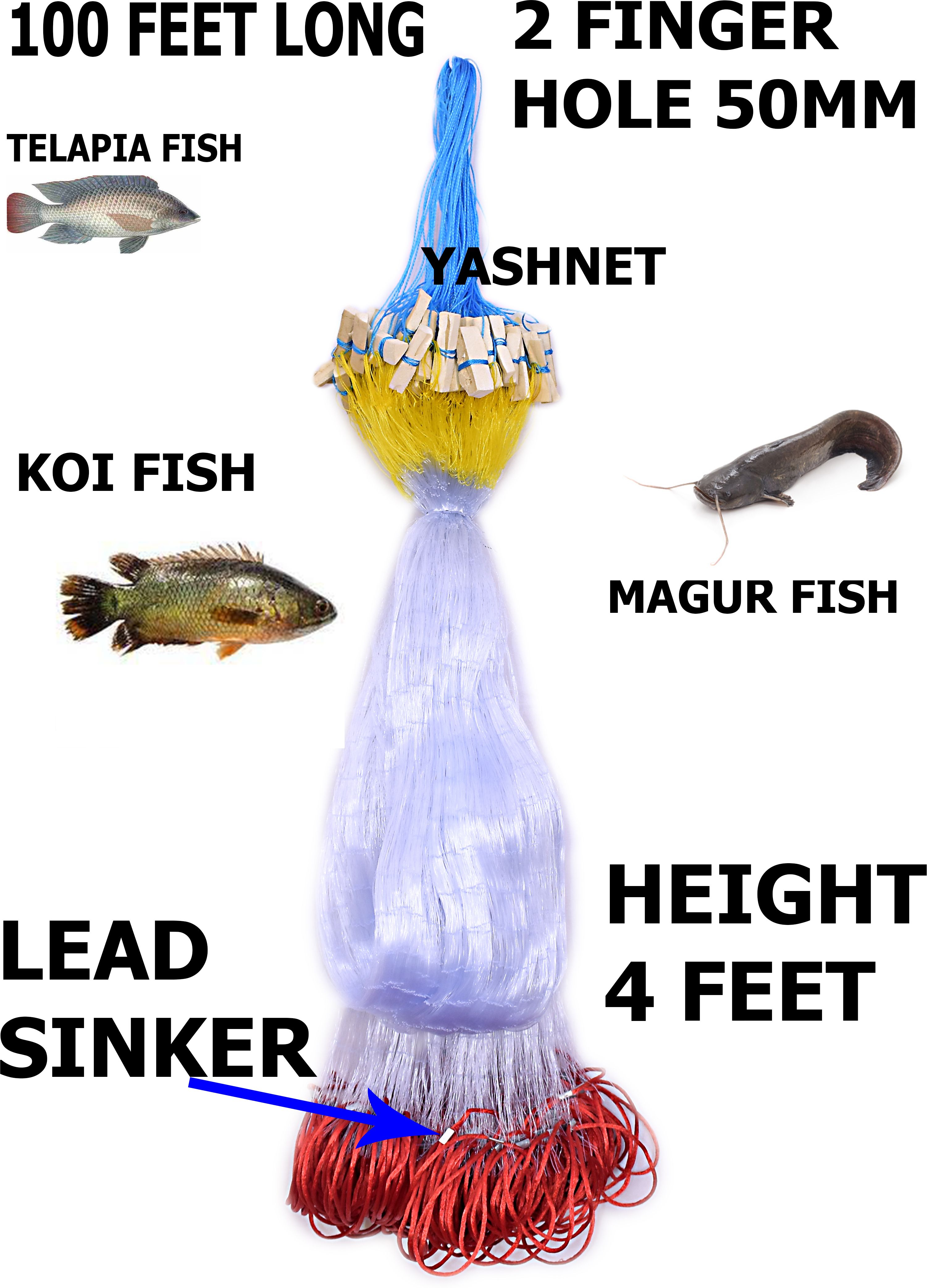YASHNET GILLNET 2 FINGER 50MM DORI SHISHAJAAL LENGHT 100 FEET LONG Fishing Net (Multicolor) — photo 1